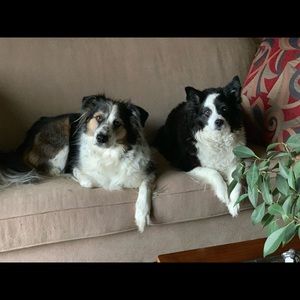 Meet your Posher, Judy